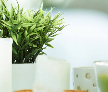 service-15-copyright-370x317